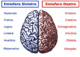 Emisferi Cervello